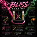 BLISS SESSION デュアル510カートリッジセット - canna canna